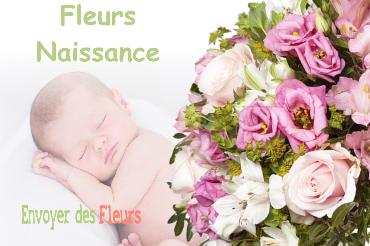 lIVRAISON FLEURS NAISSANCE à SAINT-CLAIR-DE-LA-TOUR